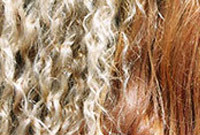 Curly-hair-side